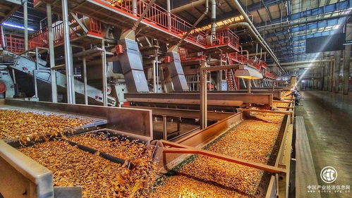 技术驱动创新，智慧赋能发展——云南烟叶复烤有限责任公司楚雄复烤厂2021烤季生产任务圆满完成